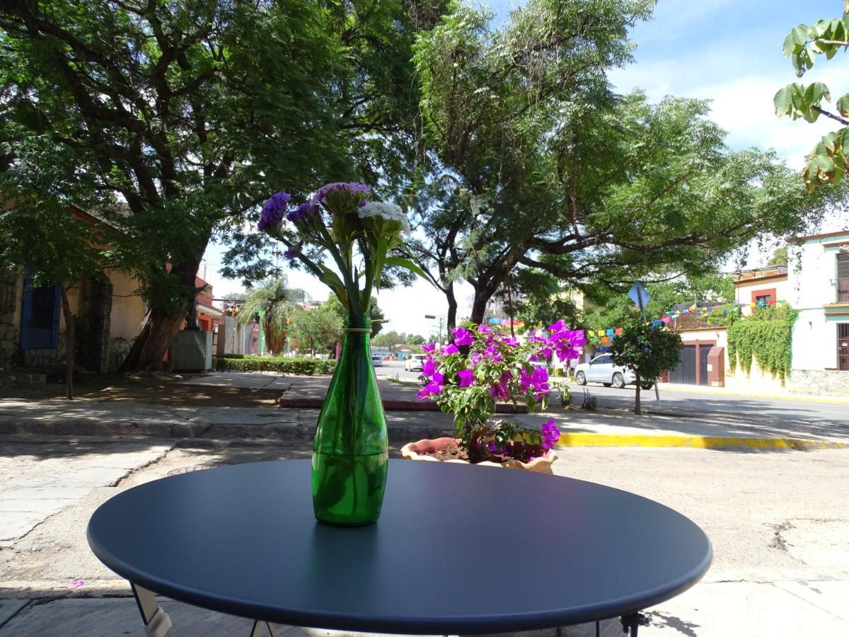 Alojamiento Jalatlaco - Car Rental! Estacionamiento En La Calle Sujeto A Disponibilidad Oaxaca Екстер'єр фото